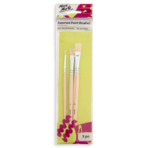 Assorted Paint Brushes Discovery 3pc